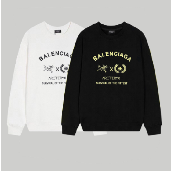Balenciaga x Arc'teryx print crewneck sweatshirt